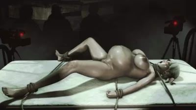 Insektikor creator's 3D porn comic A Private Show
